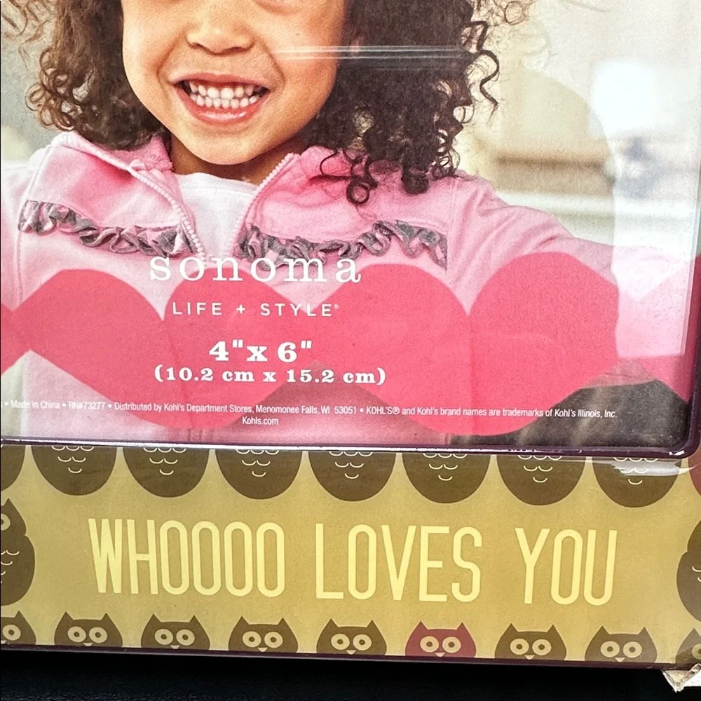 Sonoma Life+Style Owls Whooo Loves You Owl Always Love You Picture Frame 4
